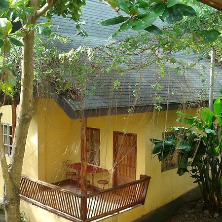 Sun Garden Hilltop Resort Manoc-Manoc Εξωτερικό φωτογραφία